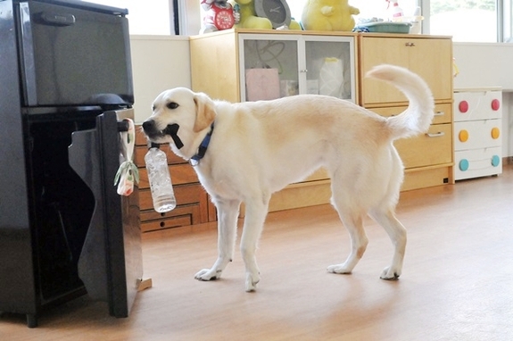 飲み物を取ってくる