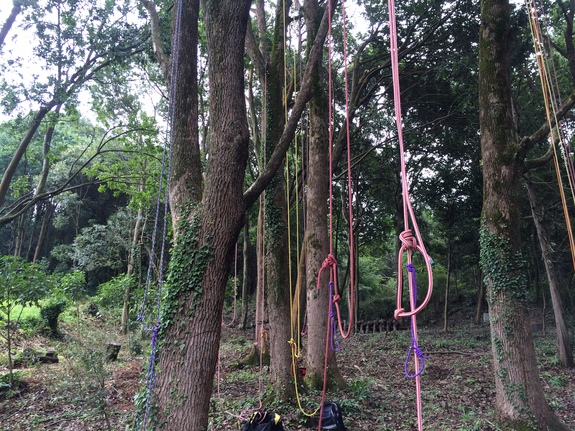 カラフルなロープたち