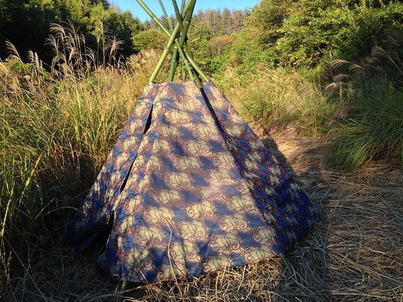 ティピートイレ