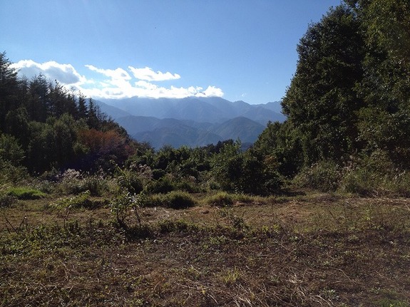 小屋作り予定地