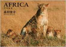 森村俊介『アフリカⅡ』