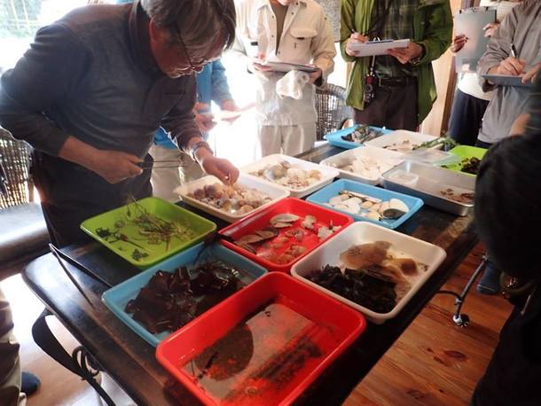 海の生き物を守る会の向井先生に同定して頂きます!