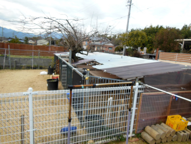 ボロボロの屋根