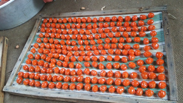 ラプシ―キャンディー!