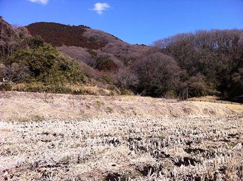 土浦市小野の棚田