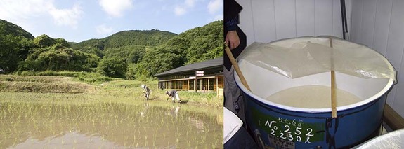 棚田活動報告と大吟醸試飲会