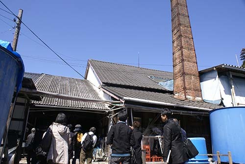 白菊酒造見学