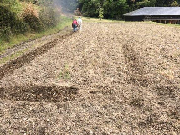 棚田の田起し