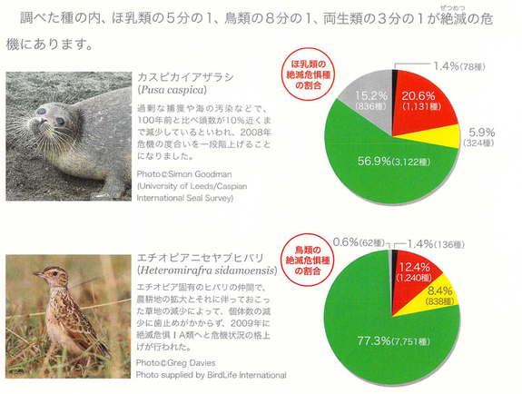 レッドリストデータ