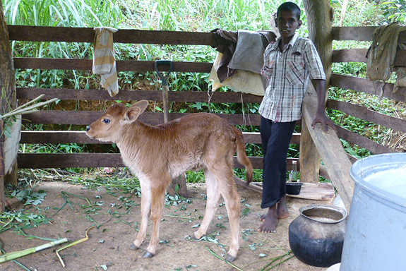 近所の子供も一緒に。