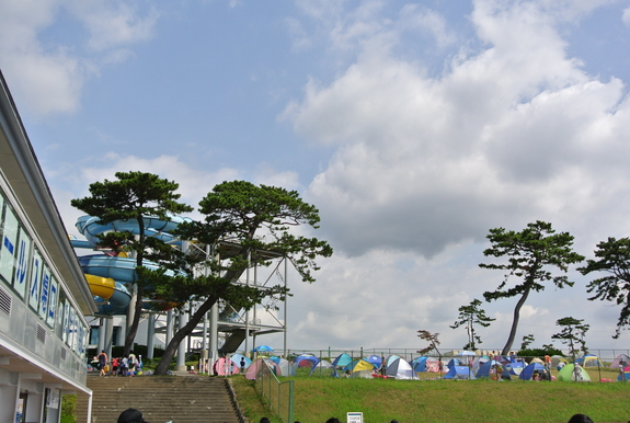 20140729大磯画像