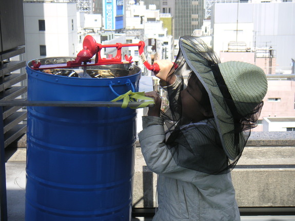銀座ミツバチプロジェクト概要
