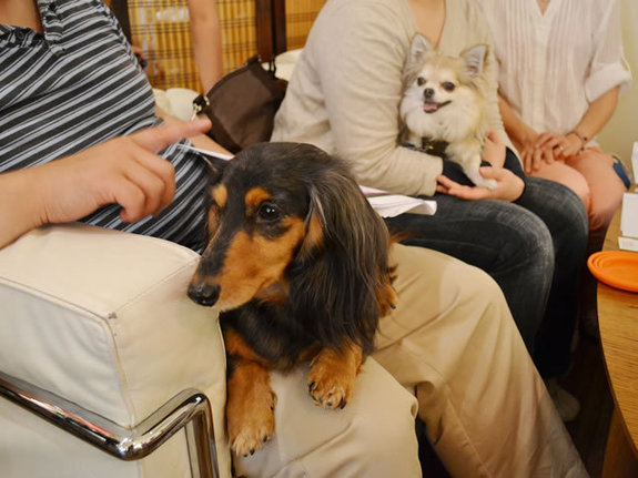 ブリオ里親座談会