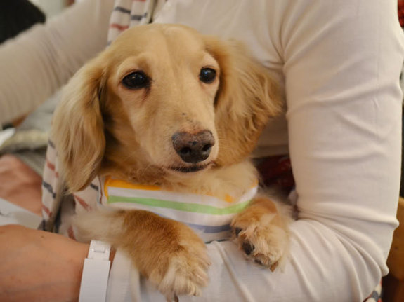 ブリオ里親座談会