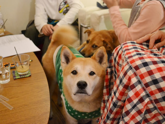 ブリオ里親座談会