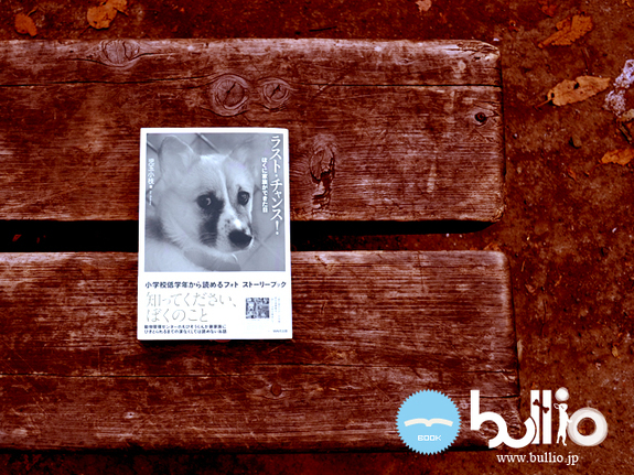 ラスト・チャンス!