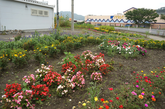 2014年9月の花壇