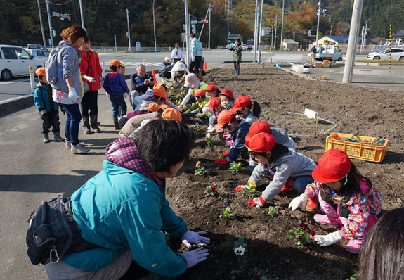 花壇の縁にそってパンジーの花苗を植え付け