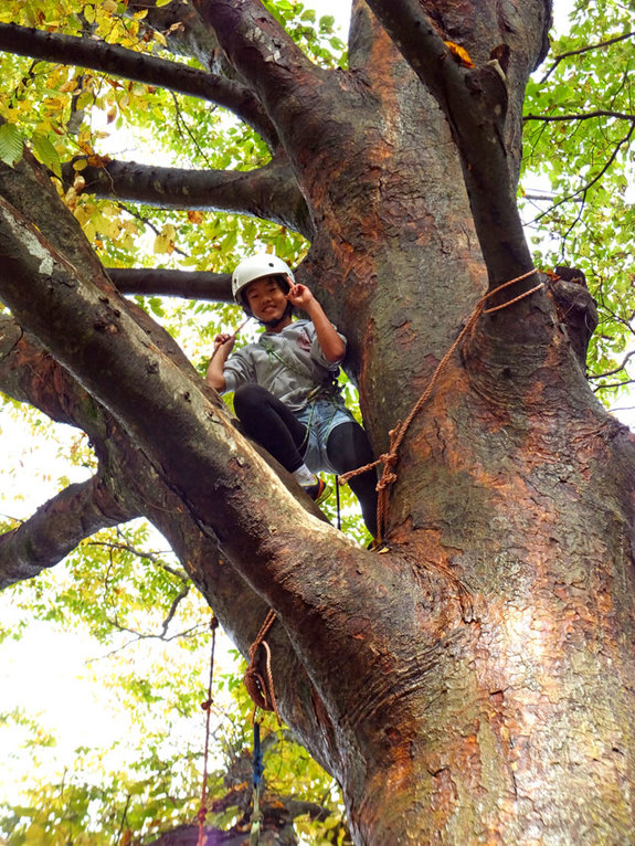 スーパー木登り成功！