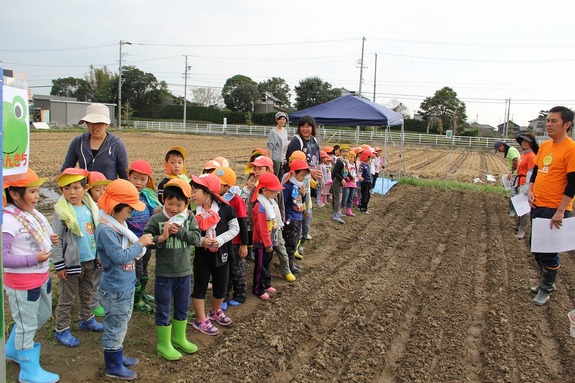 こうのとりの種まき