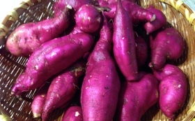 445041e0be5684cf8b5aae7052d2c4ca56cb3d39