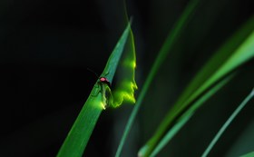 46c5dacec11609d76bf69f64ee1c8853d3bd6c07