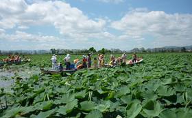 8ce3e3f54cfdf7dbfa1c6cf773938741e5974511