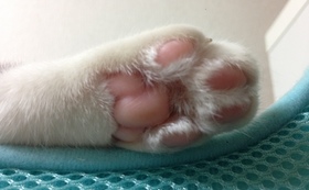 9c9d3a8f4e06c0cbacbc2a1b0e4504a672d2855a