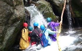 361bc01eccf8ce3b550585b89153370e968f4c7c