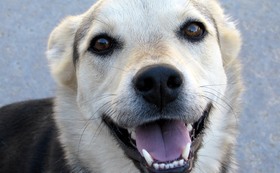 C07c02a9e4066b05dbfc7aa5bbb8a2e9e08ce958