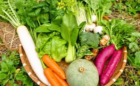 39997d5a51a7426e363346f0ca7ed9bfae2b4ed5