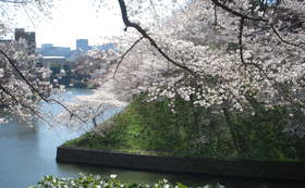 006c5180098dc489c64fe72441969ba4ffe910c5