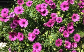 679c3ec1e1fb902ae91fcdb13d4b187480b79297