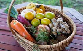 79a1e4af6c598a0da36dacaee0e2bee90f04731a